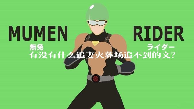 有没有什么追妻火葬场追不到的文？