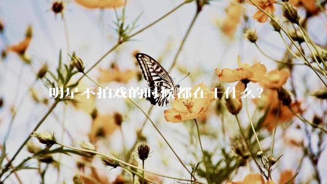 明星不拍戏的时候都在干什么？